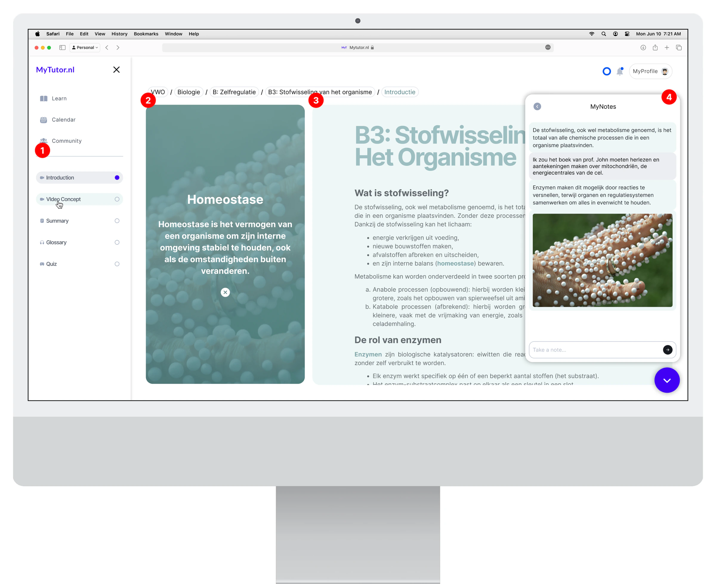 MyTutor lesson page on a desktop monitor: sidebar navigation, a video card on Homeostase, an article on Stofwisseling and a MyNotes panel, marked 1 to 4